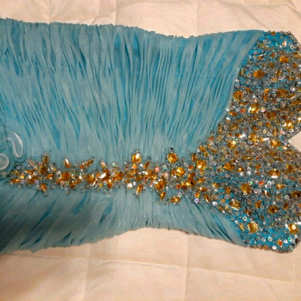 Pageant/Prom Dress - Picture 3 of 4